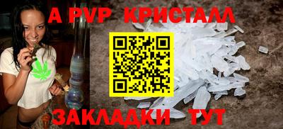 спиды Бийск