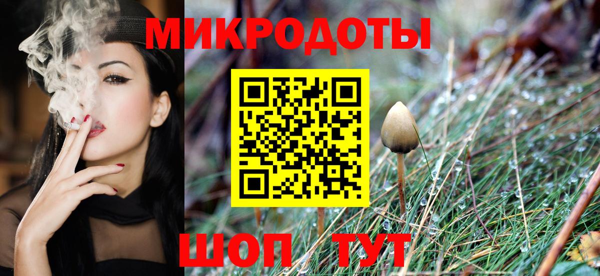 Галлюциногенные грибы MAGIC MUSHROOMS  Вход с VPN  Кисловодск 